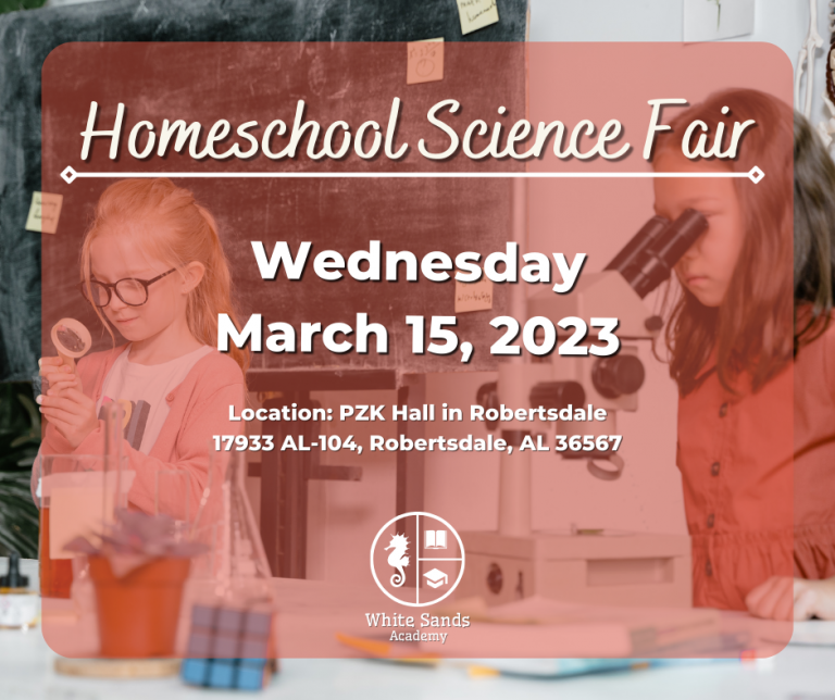 Homeschool-Science-Fair-7-768x644