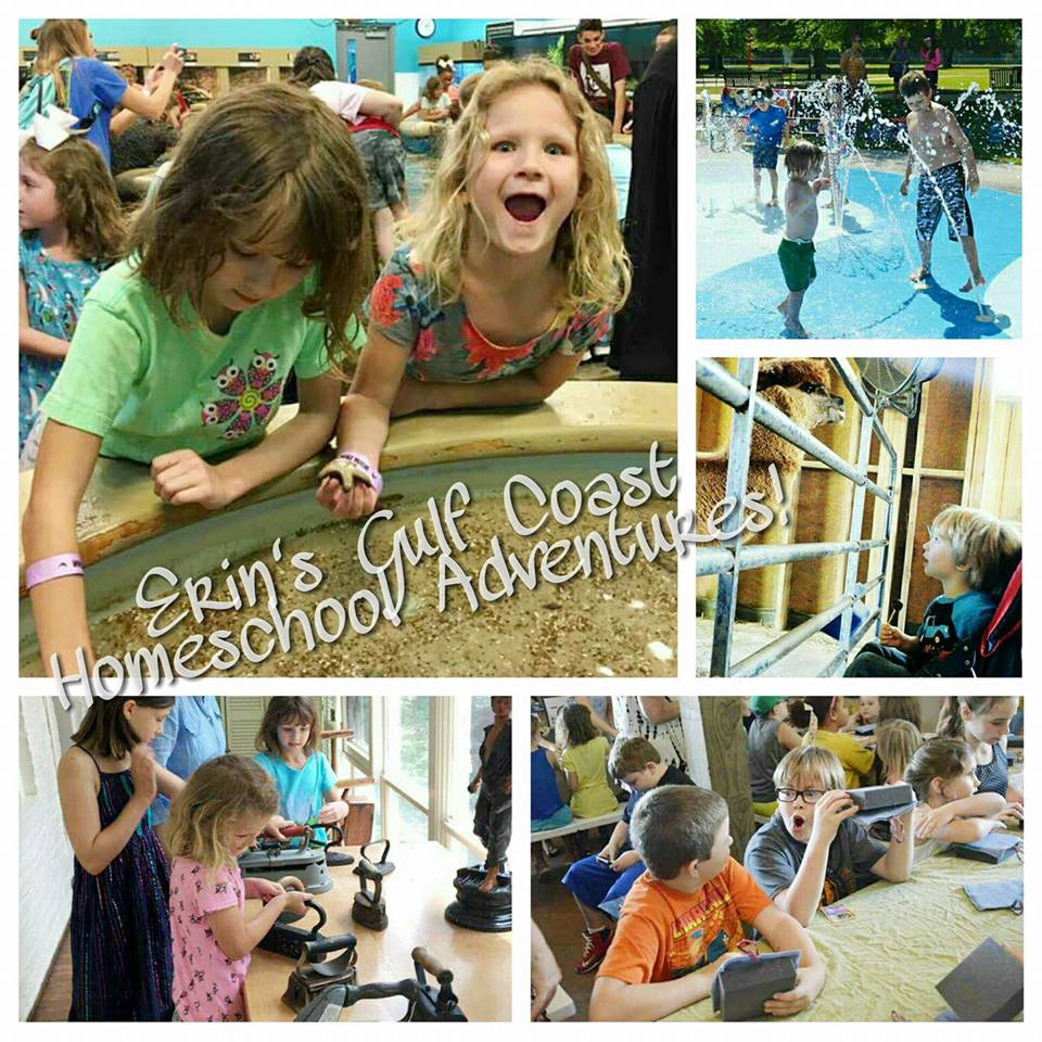 Erin's Gulf Coast Homeschool Adventures