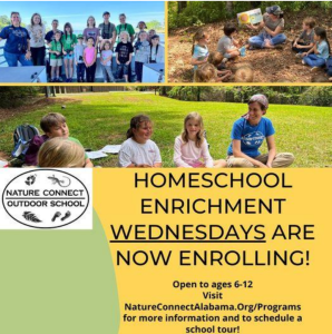 Nature Connect Outdoor School