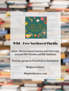 Wild and Free Northwest Florida