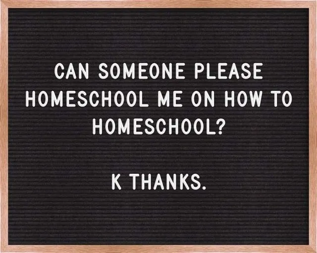 Can Someone Please Homeschool Me on how to Homeschool